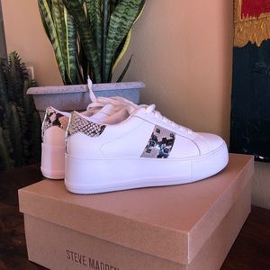 Steve Madden pinto gold snake shoes